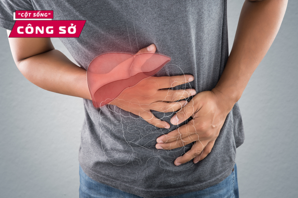 6 sai lầm khiến nhân viên văn phòng dễ mắc gan nhiễm mỡ